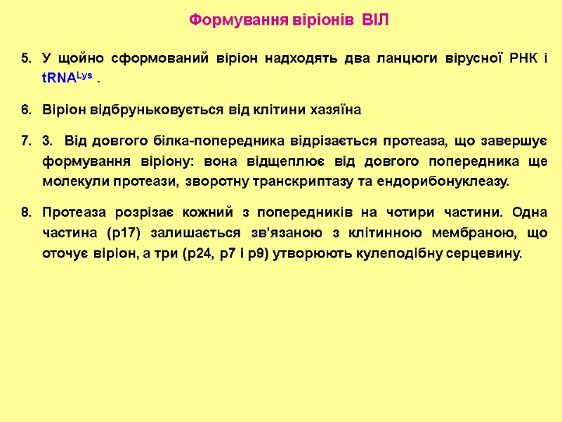 Формування віріонів  ВІЛ У щойно сформований віріон надходять два ланцюги вірусної РНК і